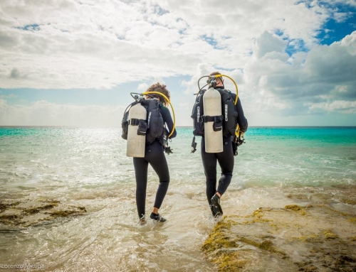 A taxa do parque marinho de Bonaire vai aumentar em 2019