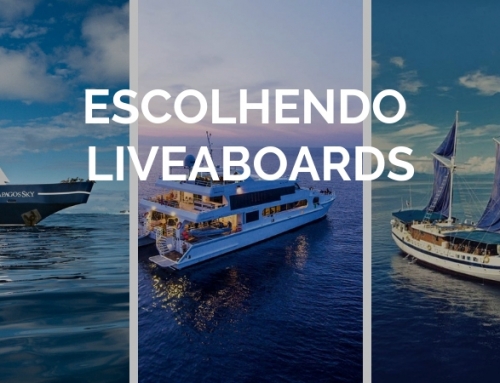 Escolhendo um liveaboard em 4 dicas por André Valentim