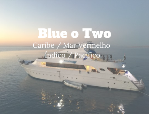 Blue o Two