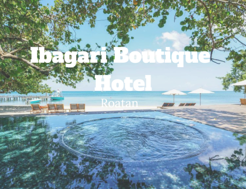 Ibagari Boutique Hotel