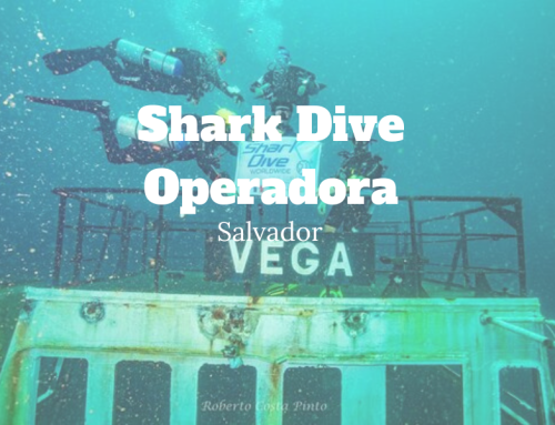 Shark Dive Operadora